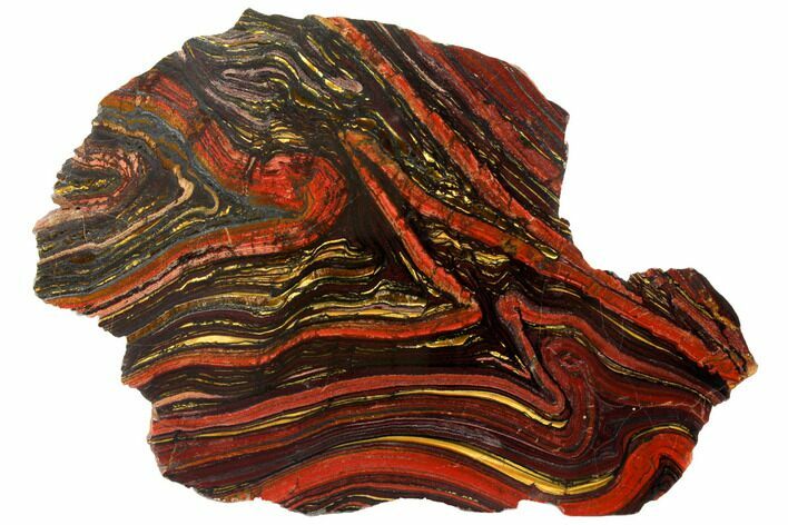 Polished Tiger Iron Stromatolite - Billion Years #129464